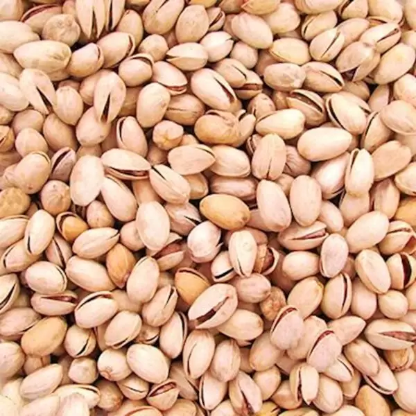 PISTACHE TORRADO E SALGADO COM CASCA 100g